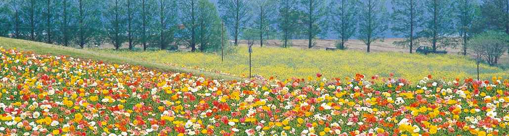 宮崎県小林市の不動産検索 内村不動産 宮崎県小林市の不動産検索 内村不動産