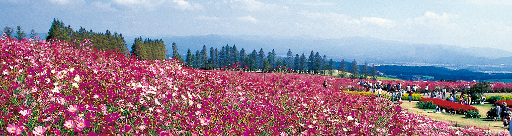 宮崎県小林市の不動産検索 内村不動産 宮崎県小林市の不動産検索 内村不動産