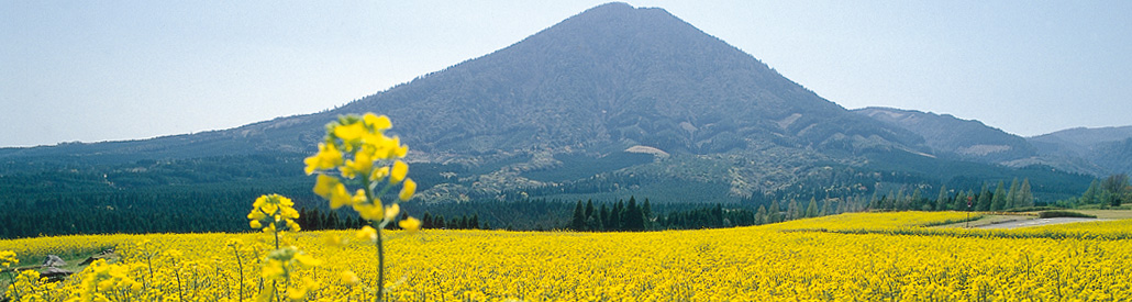 宮崎県小林市の不動産検索 内村不動産 宮崎県小林市の不動産検索 内村不動産